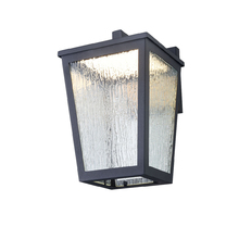 DVI DVP49571BK-RG - Calabasis Sconce