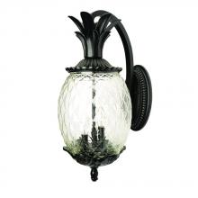 Acclaim Lighting 7502BK - Lanai Collection Wall-Mount 2-Light Outdoor Matte Black Light Fixture