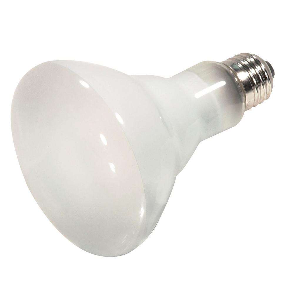 65 Watt; Halogen; BR30; Frosted; 2000 Average rated hours; 920 Lumens; Medium base; 120 Volt