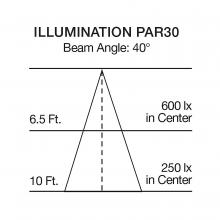 S22241_500.jpg