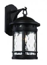 Trans Globe 40371 BK - Boardwalk Collection 1-Light, Hook Hanging Wall Lantern with Water Glass