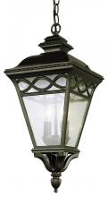 Trans Globe 50517 BK - Candlewood 26" Hanging Lantern