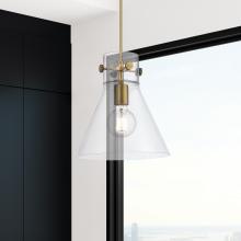 APP-410-1PM-BB-G411-10CL_2.jpg