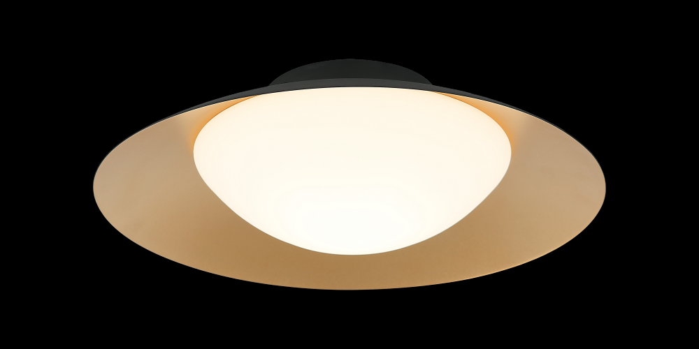 Caravon Matte Black Ceiling Mount