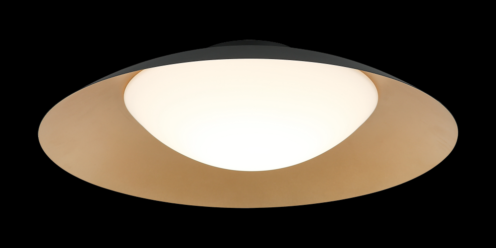 Caravon Black Ceiling Mount
