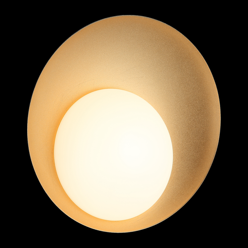 Caravon Matte Black Ceiling Mount