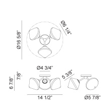 X81743AGOP_B.jpg