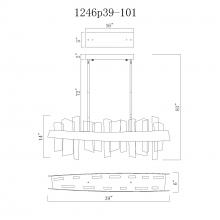 CWI-1246P39-101-31.jpg