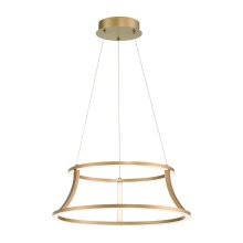 Eurofase 43885-022 - Cadoux 1 Light Chandelier in Gold