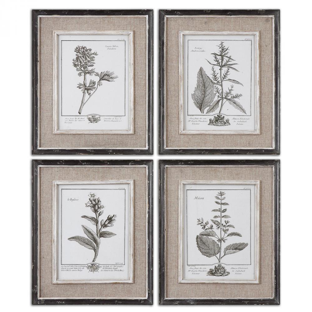 Uttermost Casual Grey Study Framed Art Set/4