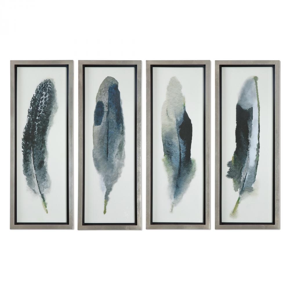 Uttermost Feathered Beauty Prints, S/4