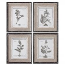 Uttermost 32510 - Uttermost Casual Grey Study Framed Art Set/4