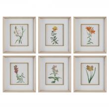 Uttermost 32284 - Uttermost Classic Botanicals Framed Prints Set/6