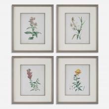 Uttermost 32285 - Uttermost Heirloom Blooms Study Framed Prints Set/4