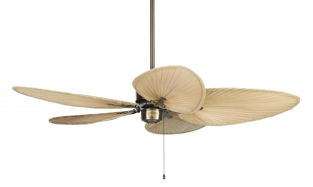 Islander: Antique Brass